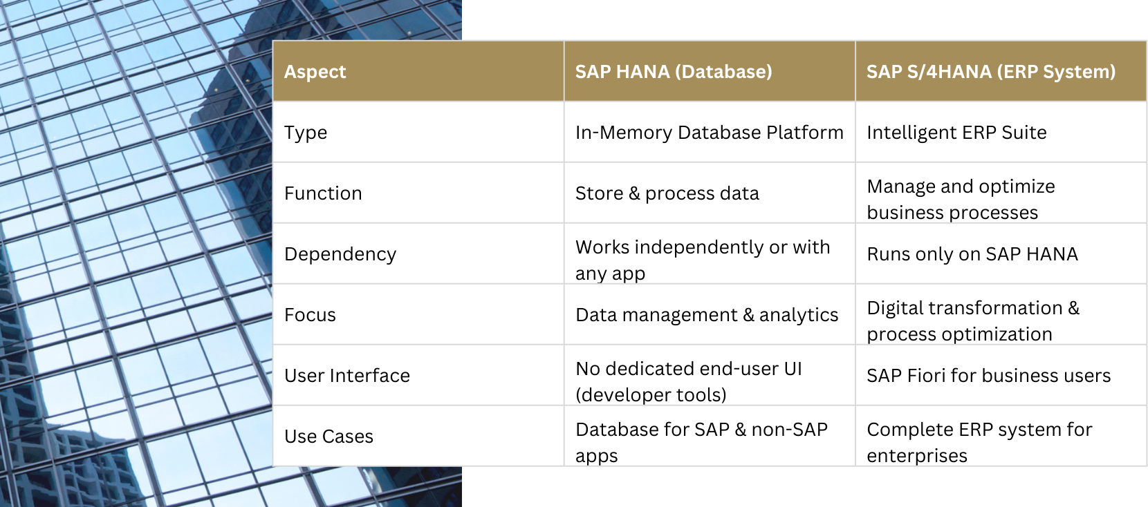 SAP S/4HANA & SAP HANA: What Is the Difference?