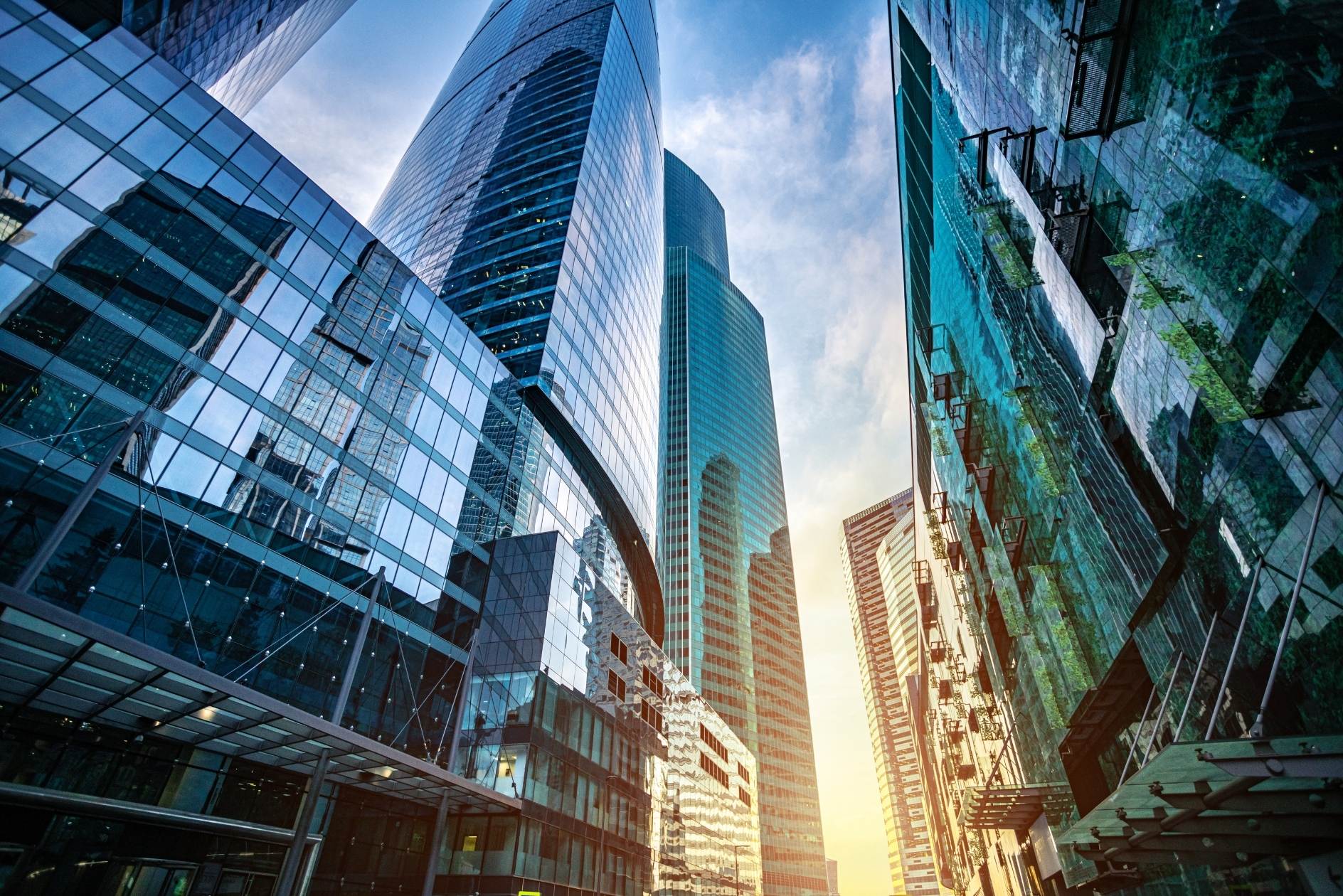 Gläserne Wolkenkratzer mit Pflanzen während einem Sonnenuntergang