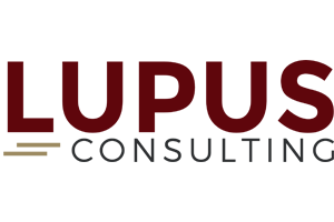 Lupus Consulting SAP